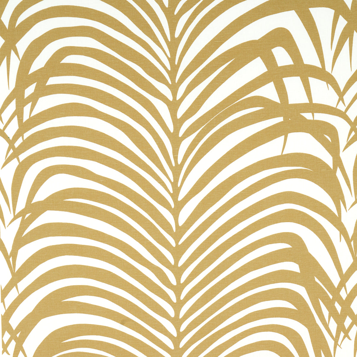 ZEBRA PALM | Khaki