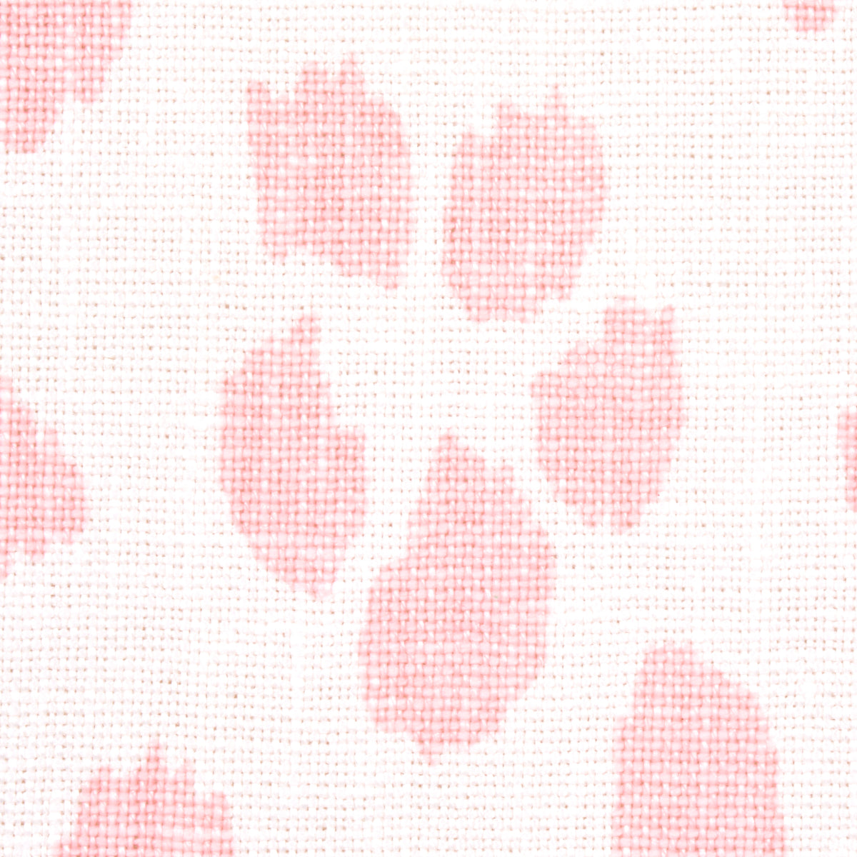 LEOPARDO ICONICO | ROSA