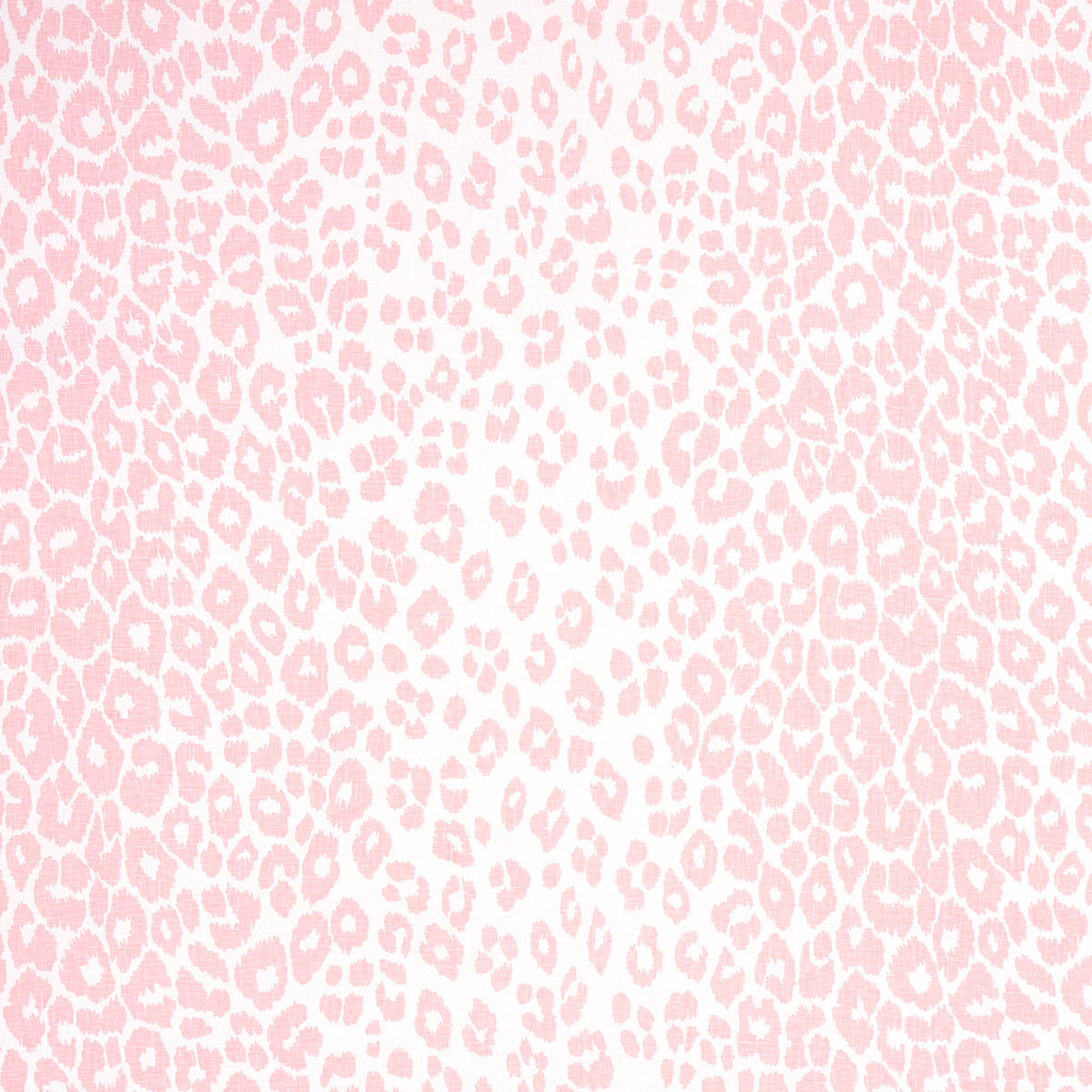 LEOPARDO ICONICO | ROSA