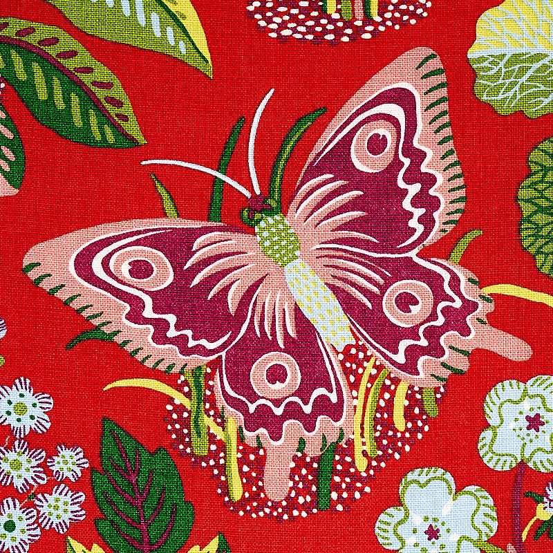 EXOTIC BUTTERFLY | Red