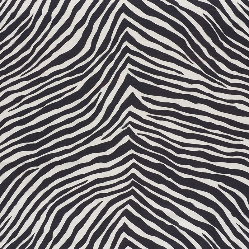 ICONIC ZEBRA | BLACK