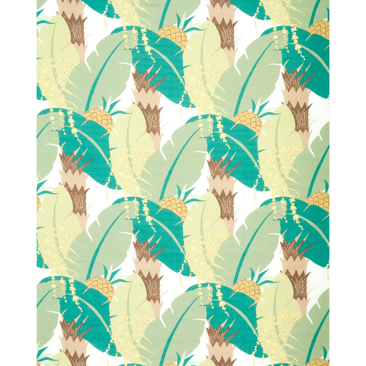 ANANAS | Palm