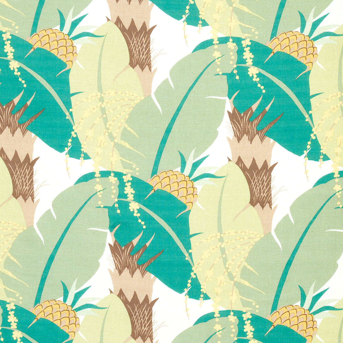 ANANAS | Palm