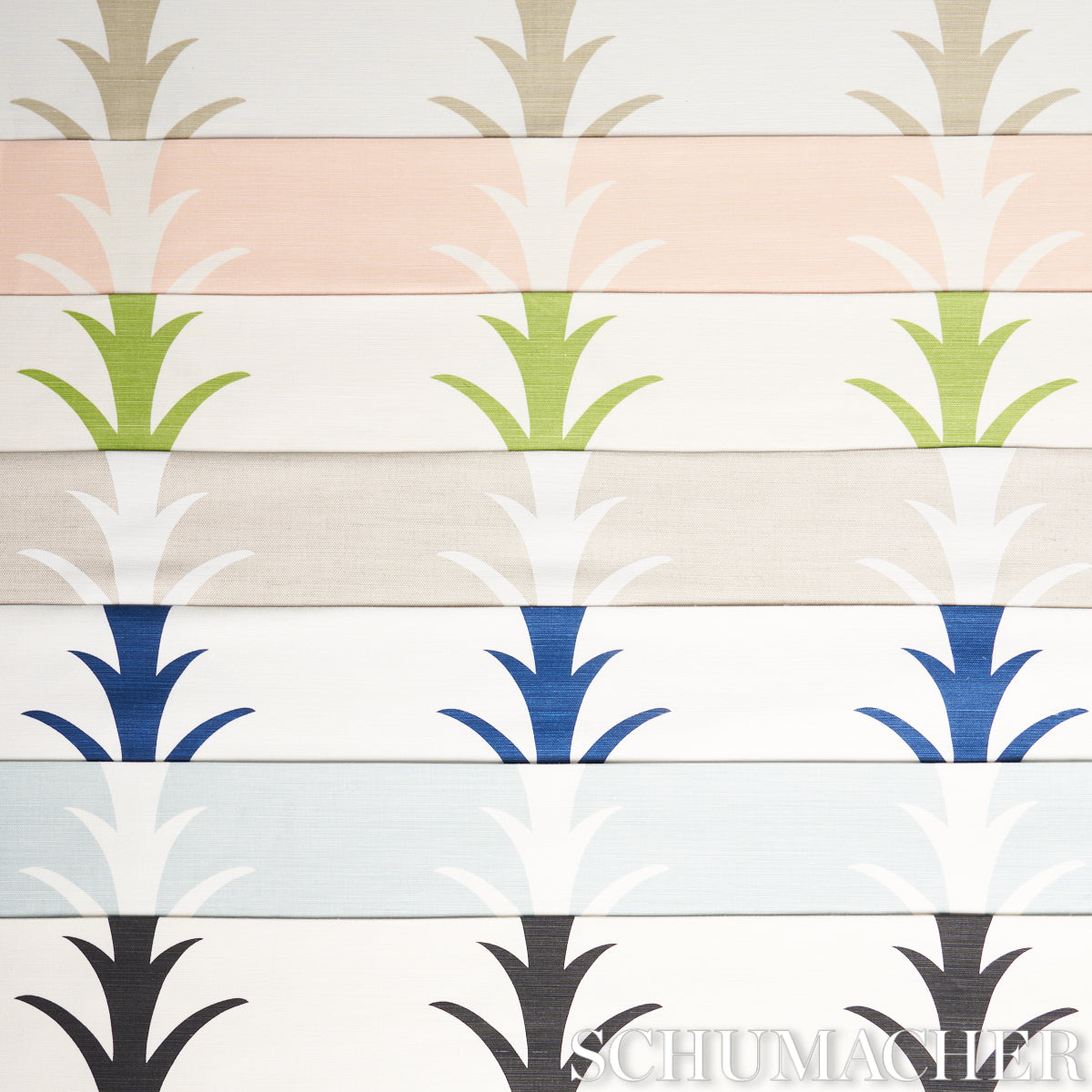 ACANTHUS STRIPE | Blush