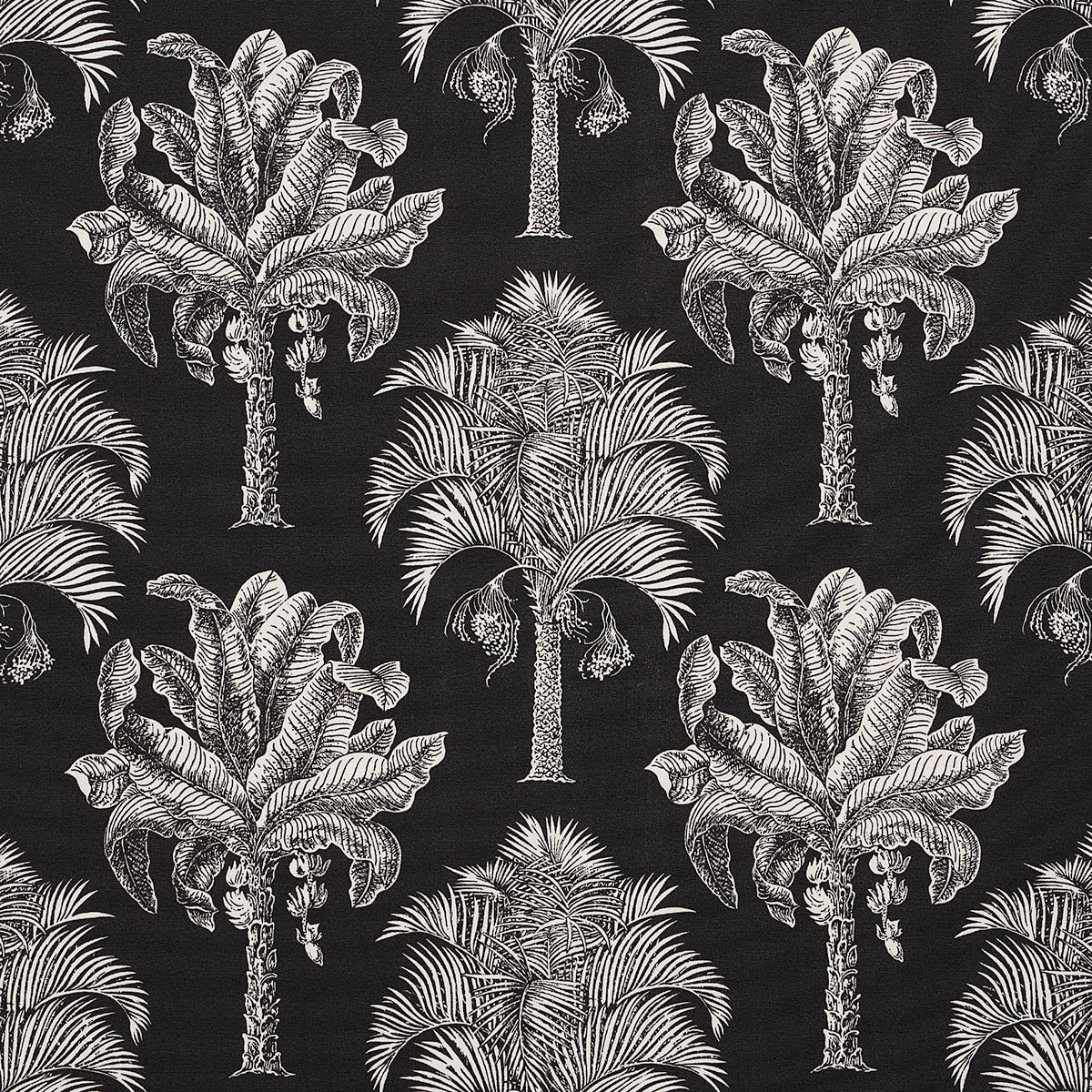 GRAND PALMS INDOOR/OUTDOOR | BLACK