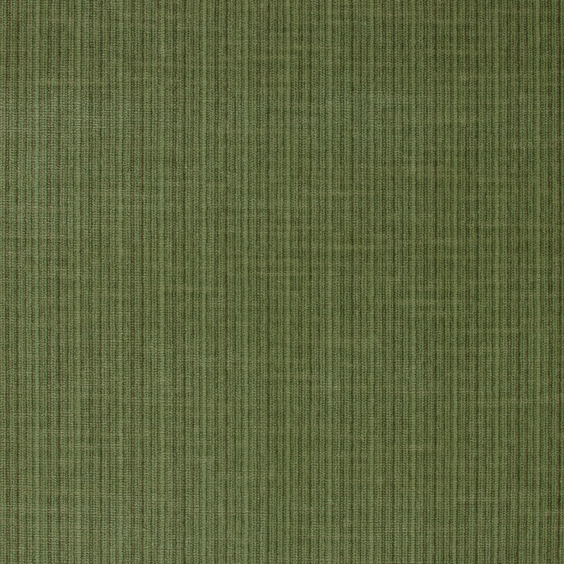 ANTIQUE STRIE VELVET | GRASS