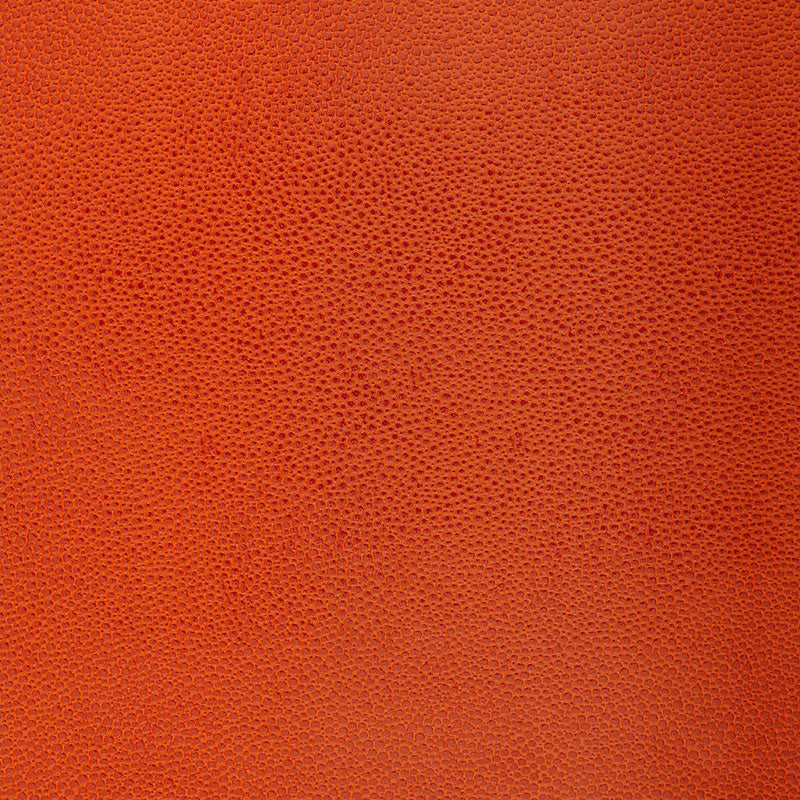 SHAGREEN | CHINESE ORANGE