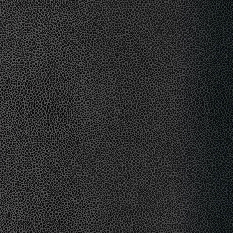 SHAGREEN | CARBON