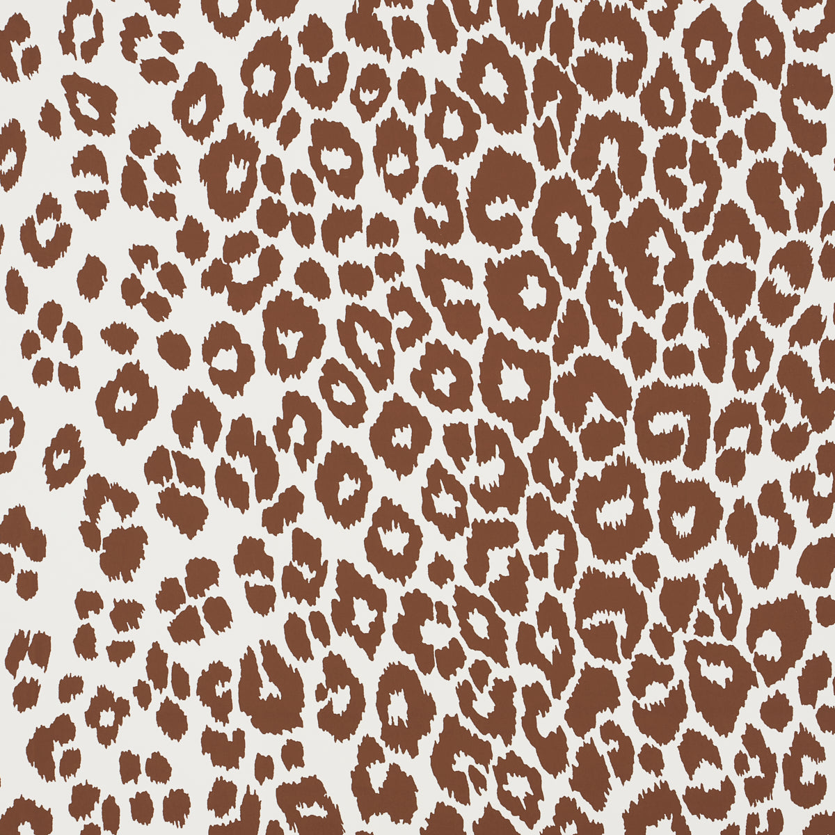 LEOPARDO ICONICO | MARRONE