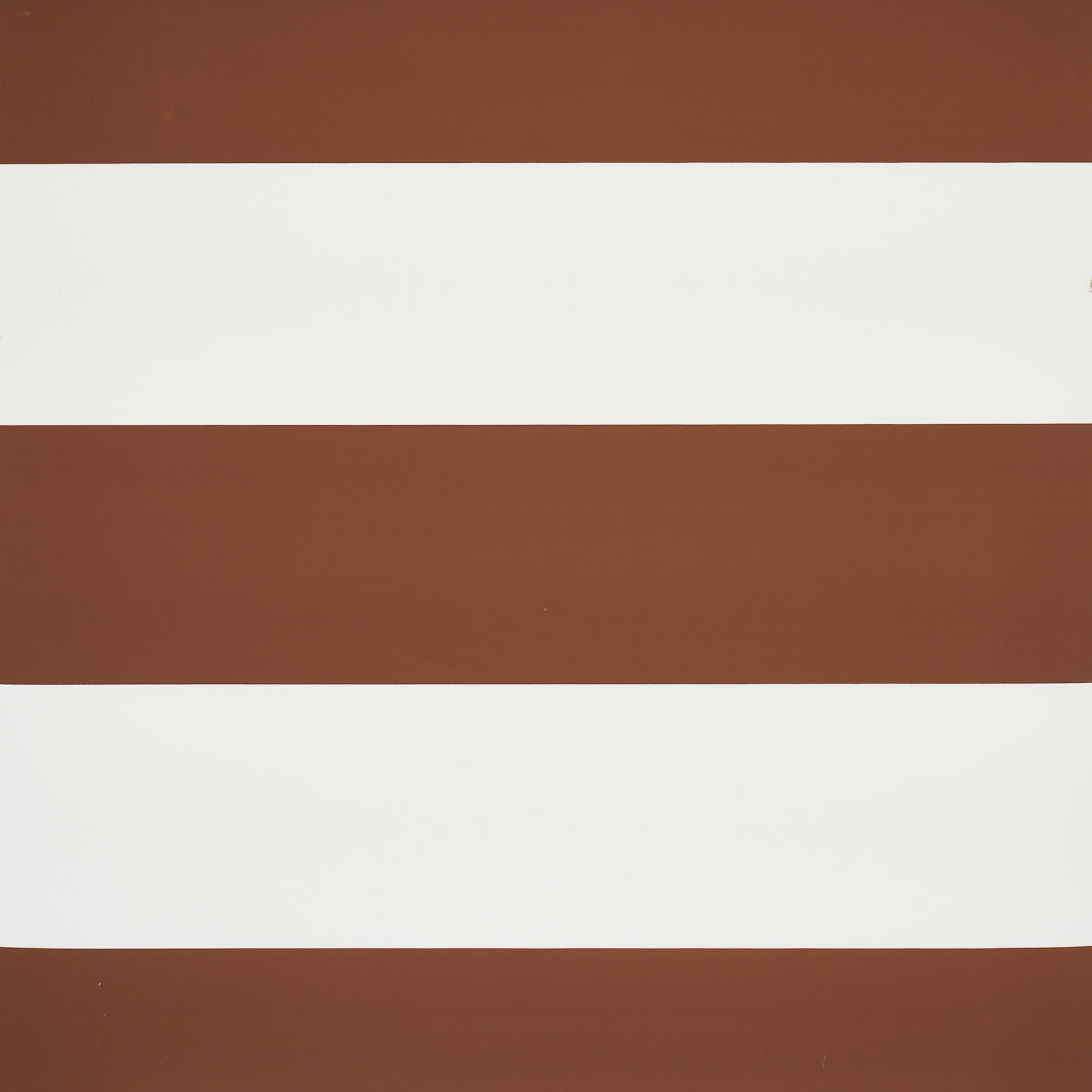 BAXTER STRIPE | Brown