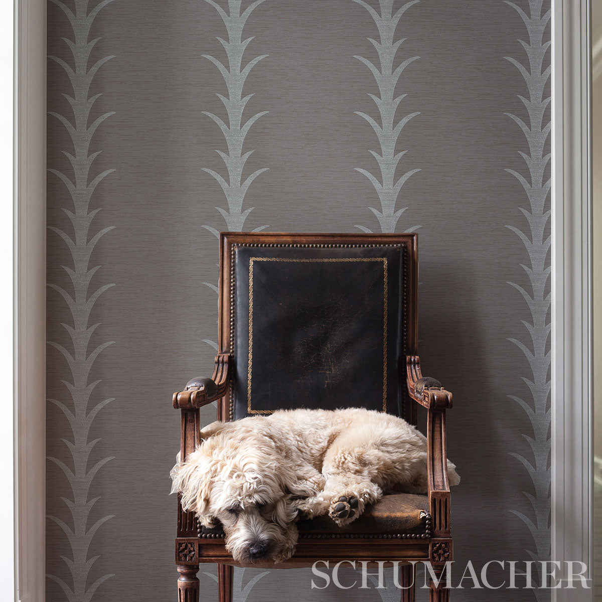 VINILE A RIGHE DI ACANTHUS | GRIGIO