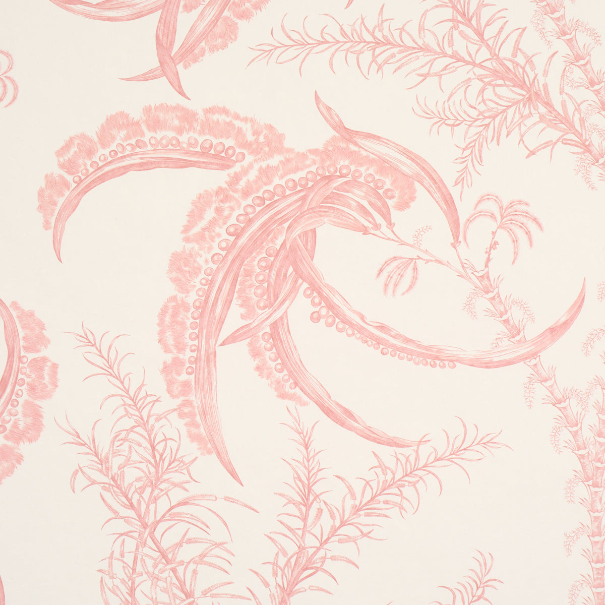 OCEAN TOILE | Coral