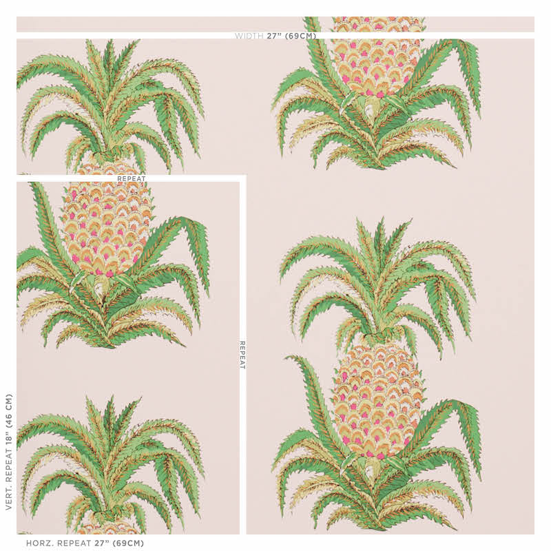 ANANAS | ARROSSIRE