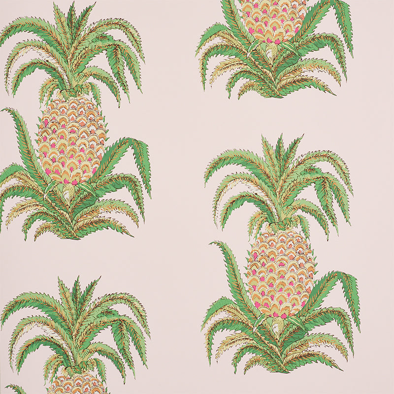 ANANAS | ARROSSIRE