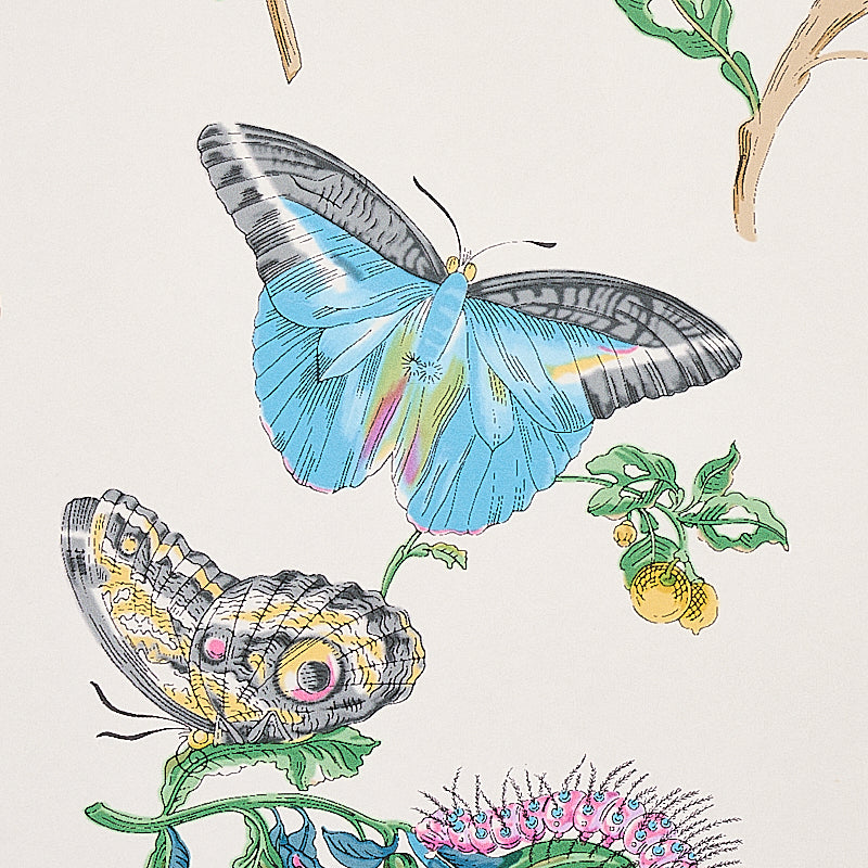 BAUDIN BUTTERFLY | TURQUOISE