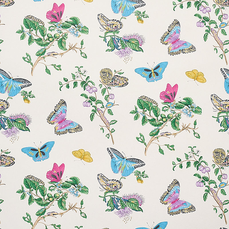 BAUDIN BUTTERFLY | TURQUOISE