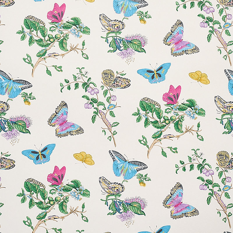 BAUDIN BUTTERFLY | Turquoise