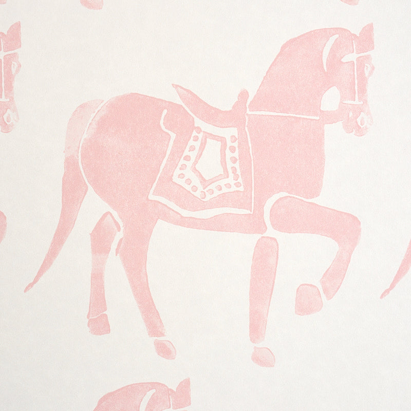 CAVALLO MARWARI | ROSA