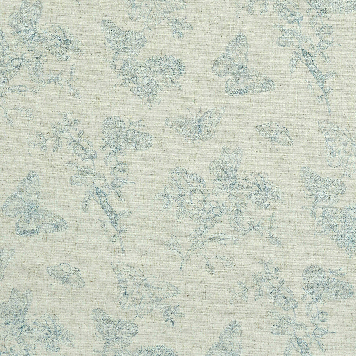 BAUDIN FARFALLA LINO | BLU