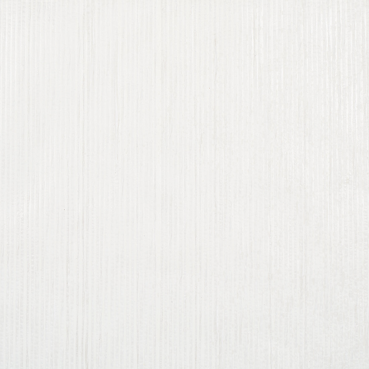 PAPER STRIPE | WHITE