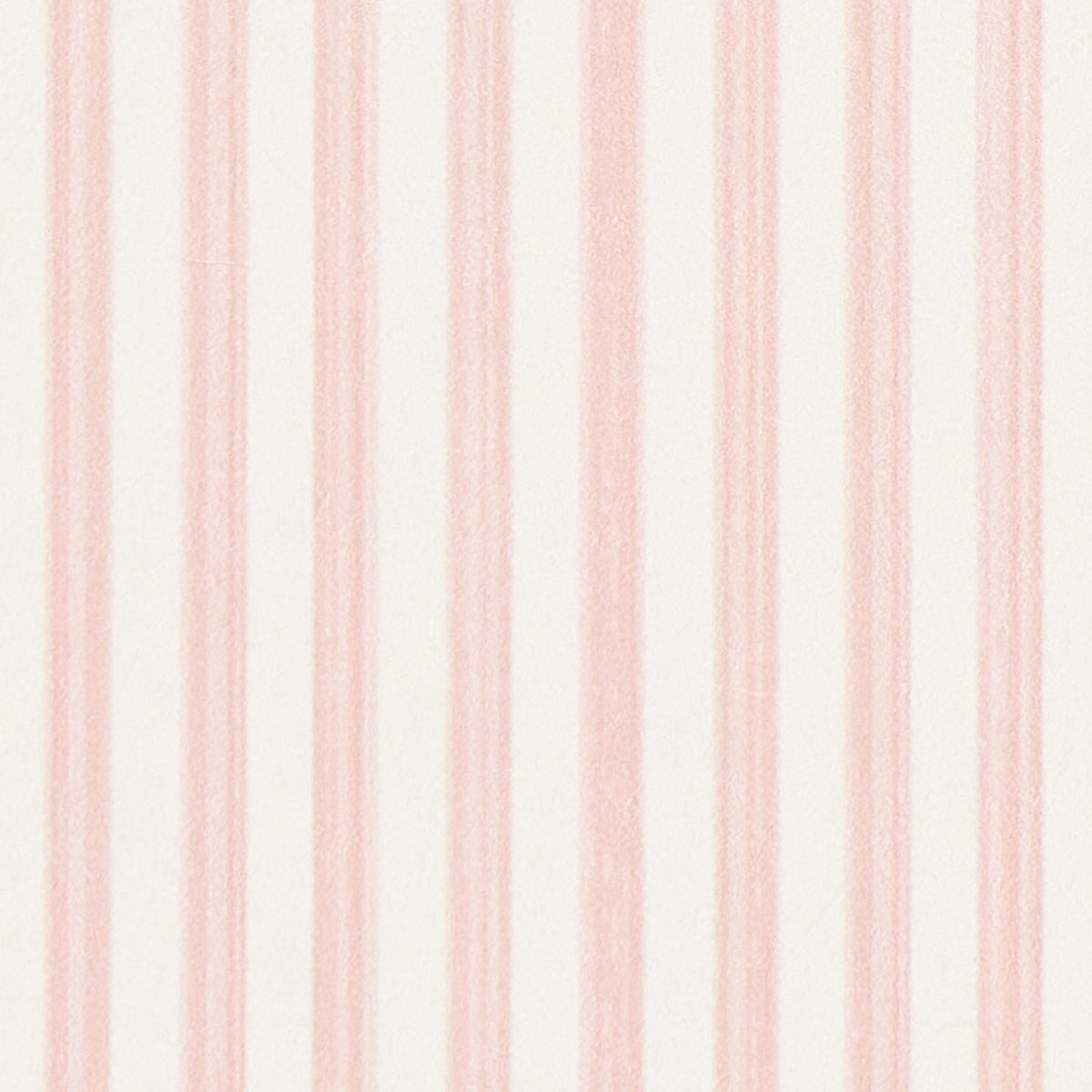 EDWIN STRIPE NARROW | PETAL