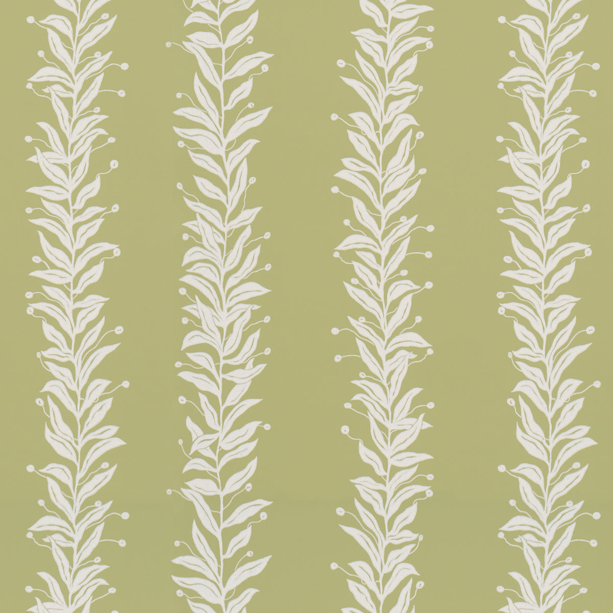 TENDRIL STRIPE | OLIVE