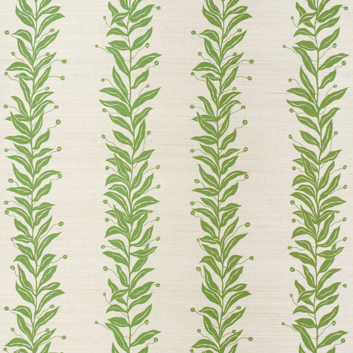 TENDRIL STRIPE SISAL | OLIVE