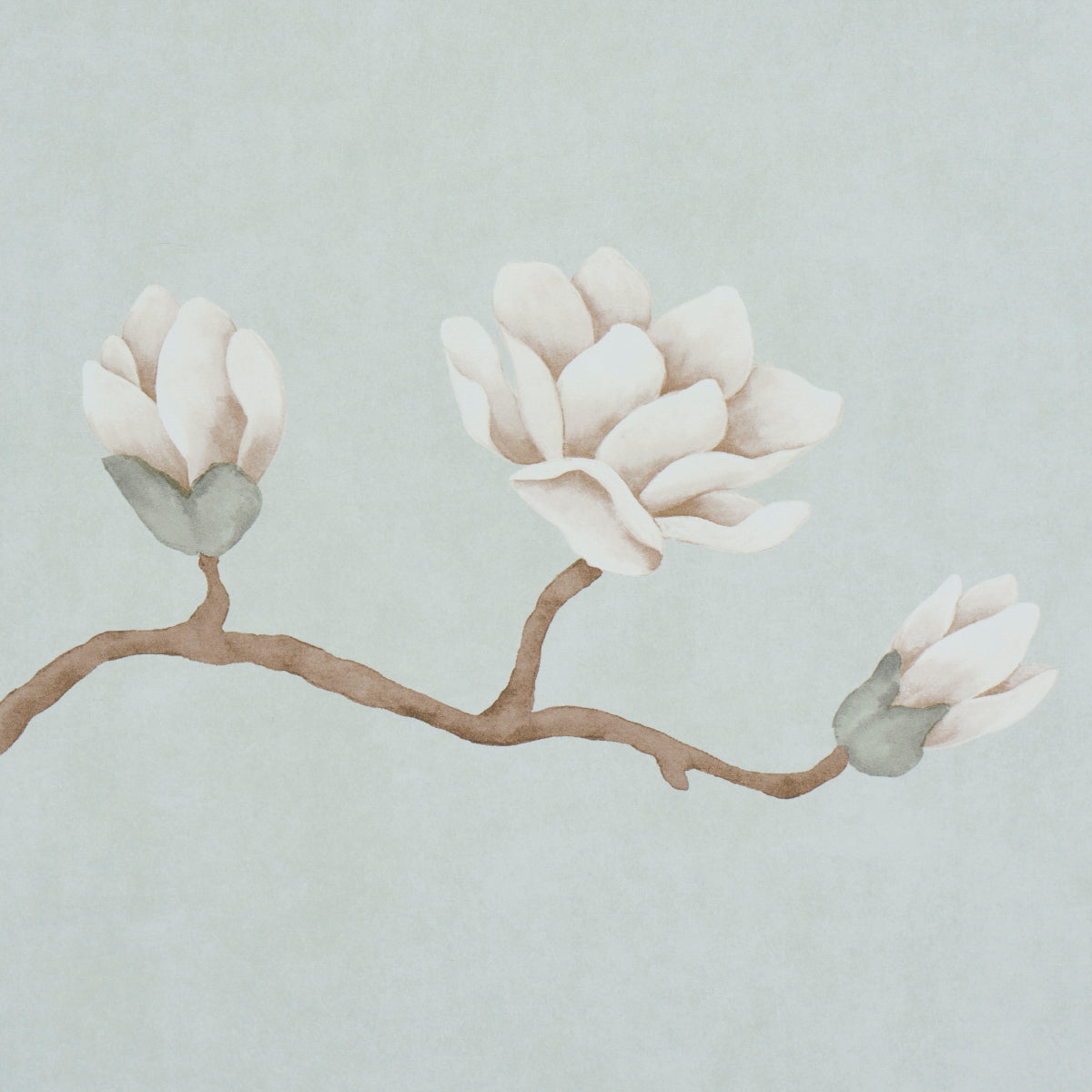 MAGNOLIA TREE | DUSTY SKY