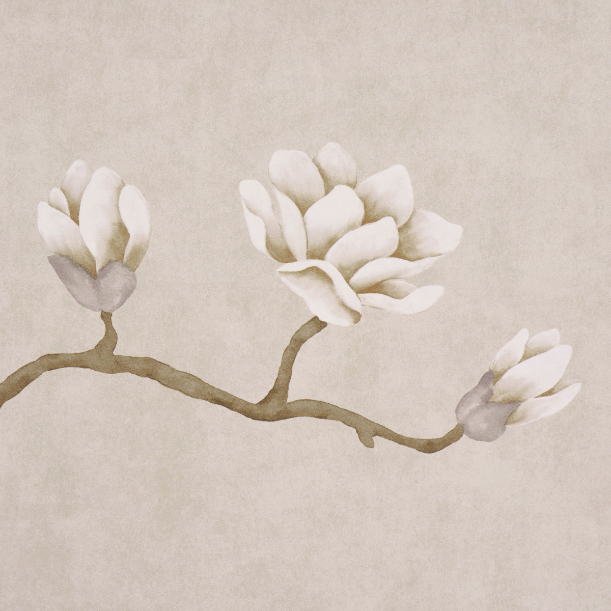 MAGNOLIA TREE | GRISAILLE