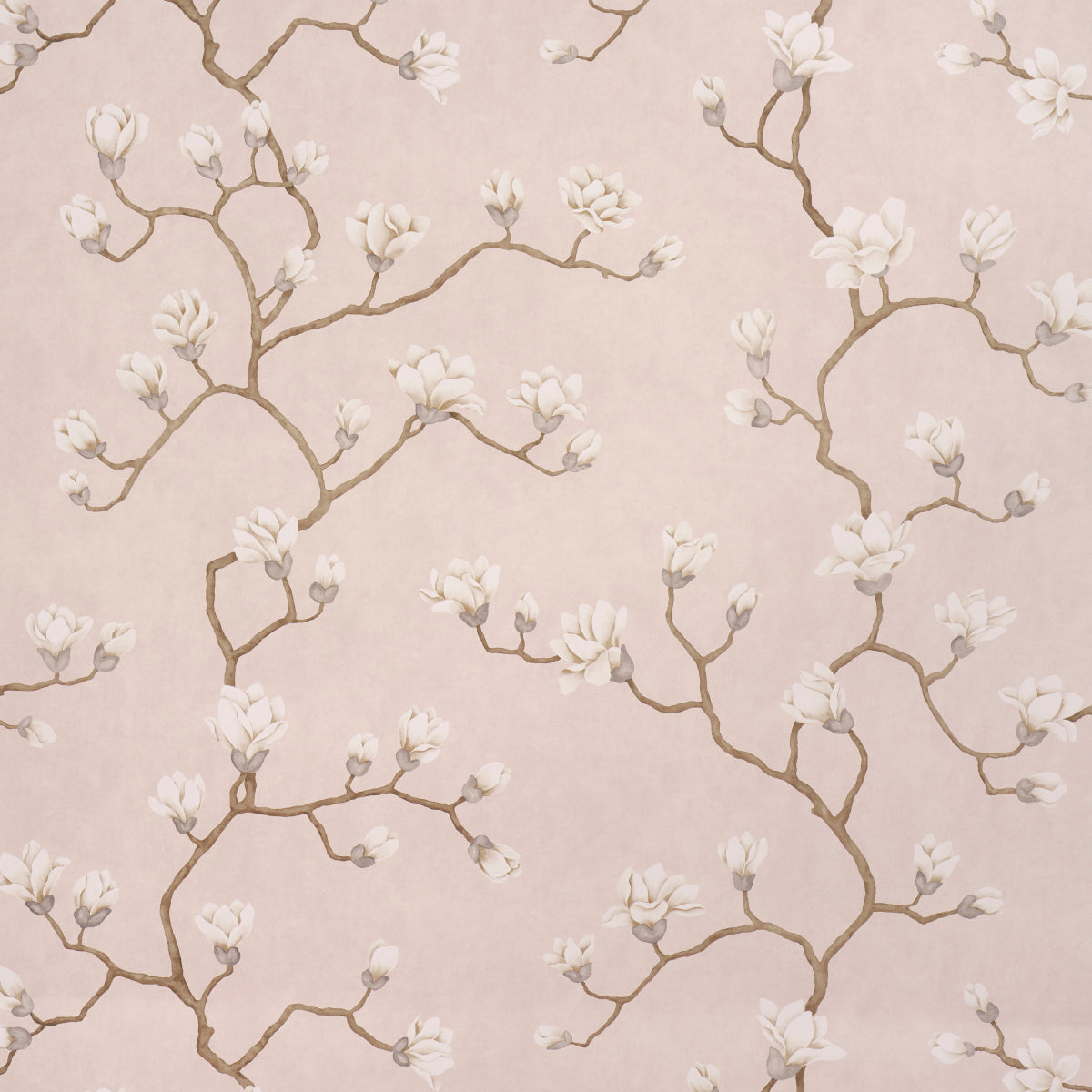 MAGNOLIA TREE | Dusty Blush