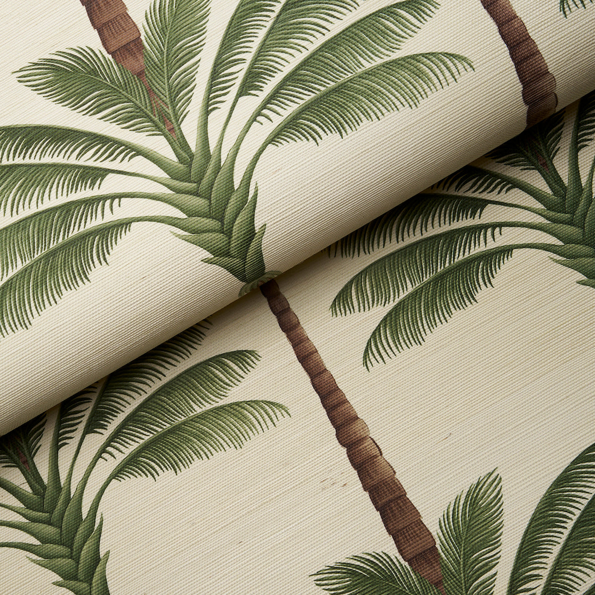 A PALM IS A PALM SISAL | CHOCOLATE MEETS TOBACCO