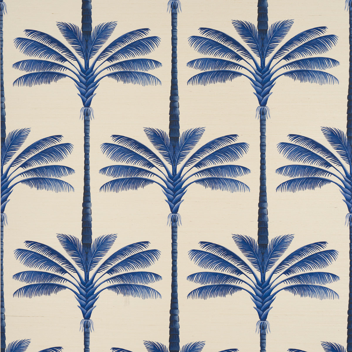 A PALM IS A PALM SISAL | Indigo Palm Grove