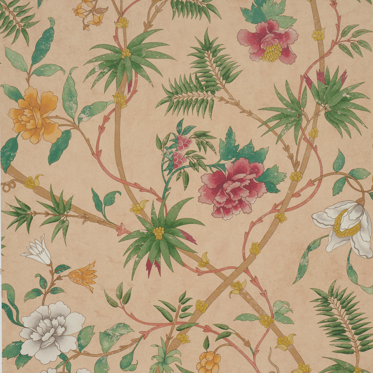 ARASI BOTANICAL | CORAL