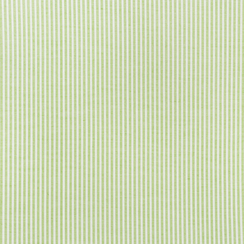 EASTON STRIPE INTERNO/ESTERNO | FOGLIA