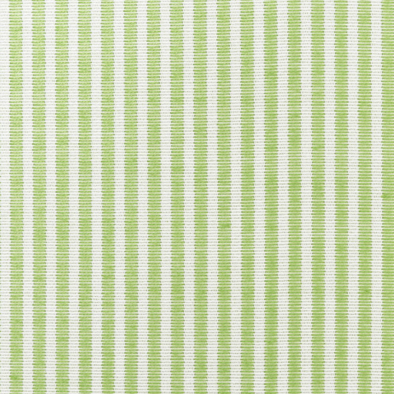 EASTON STRIPE INTERNO/ESTERNO | FOGLIA