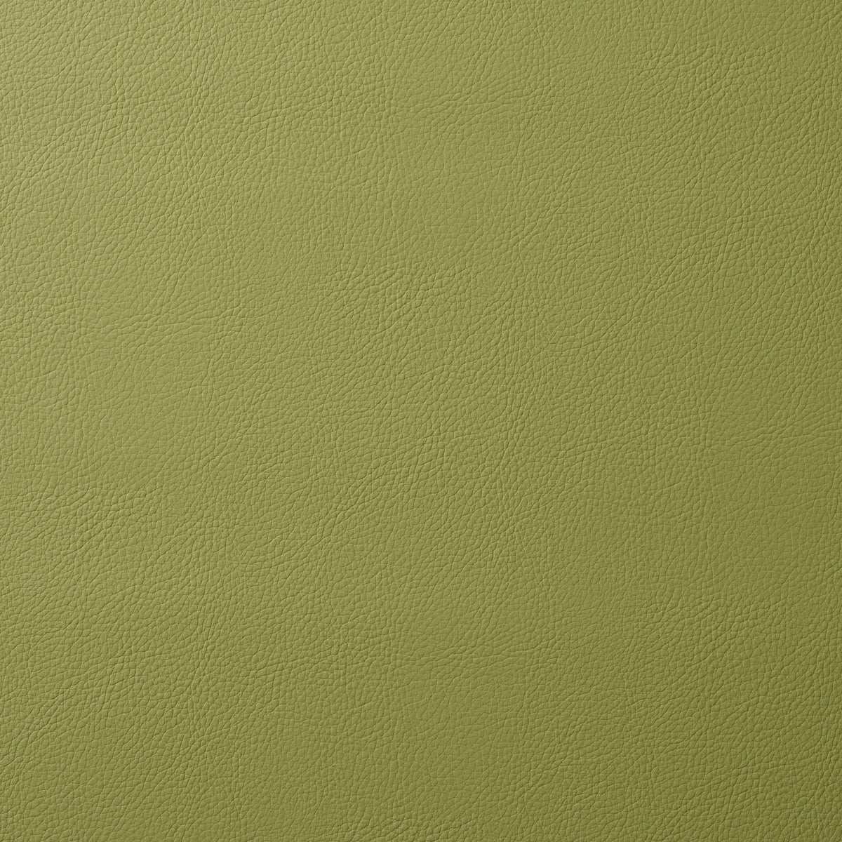 VEGAN LEATHER INDOOR/OUTDOOR | MOSS