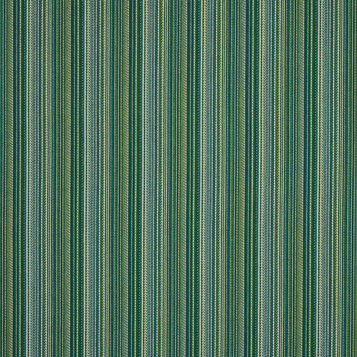 FINO STRIPE INTERNO/ESTERNO | VERDE